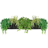 Sleek Pocket 3 Black Wall Planter – Triple Slot Design