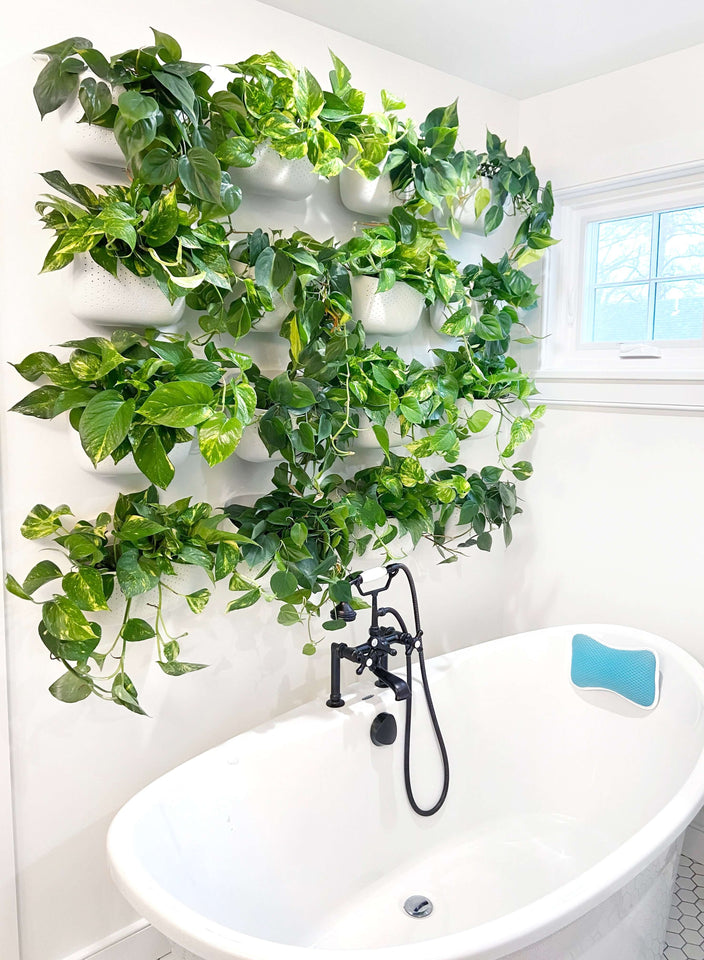 Eco White Wall Planter – Minimalist Style, Maximum Greenery