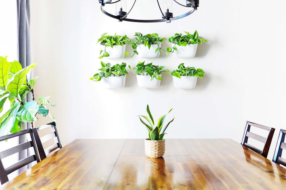 Eco White Wall Planter – Minimalist Style, Maximum Greenery