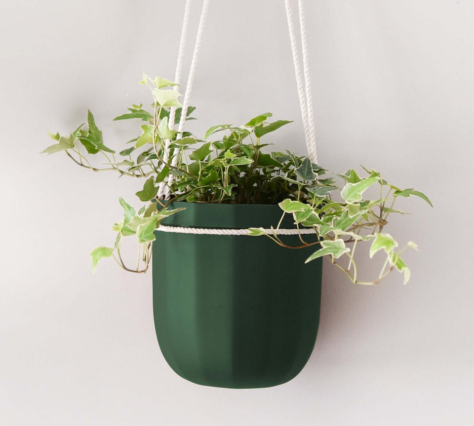 Rustic Loop Forest Hanging Planter