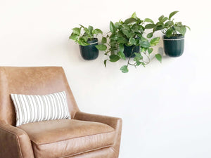 Rustic Loop Forest Hanging Planter