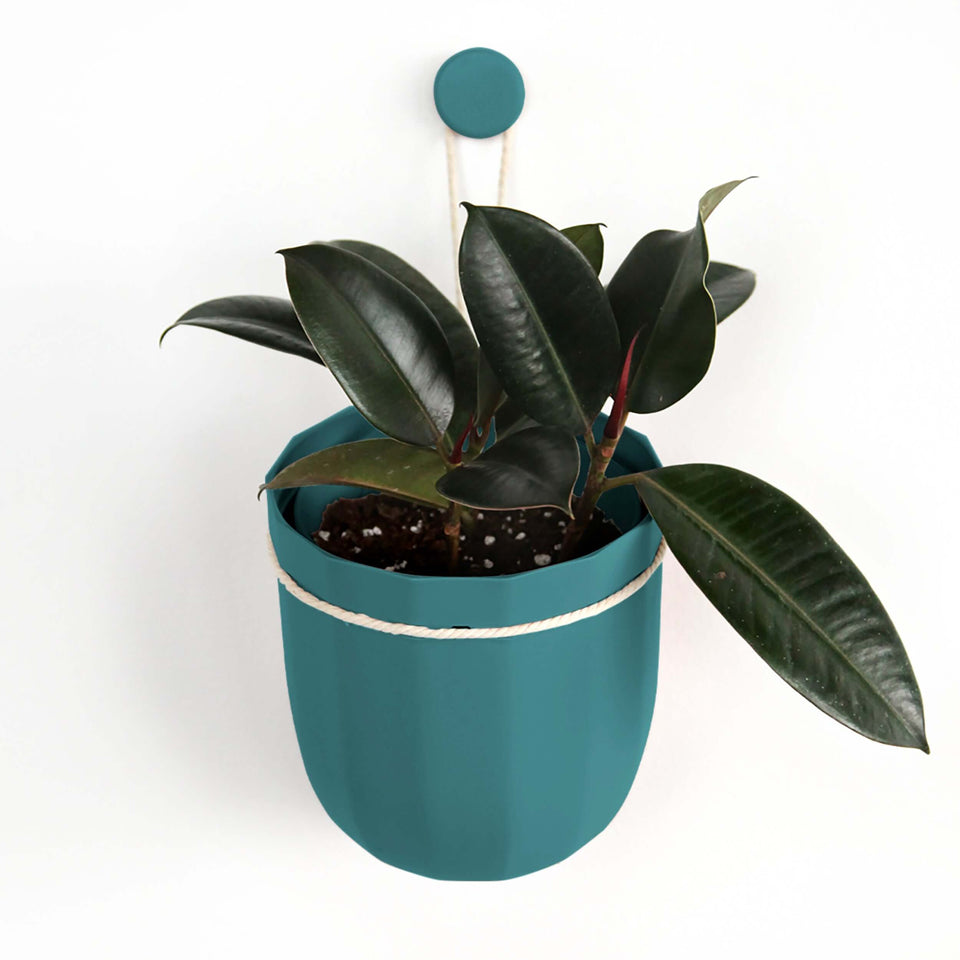 Teal Hanging Planter