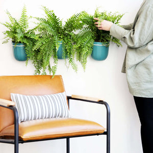 Teal Hanging Planter