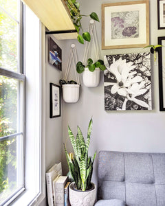 White Hanging Planter