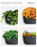 Eco White Wall Planter – Minimalist Style, Maximum Greenery