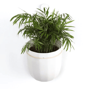 White Hanging Planter