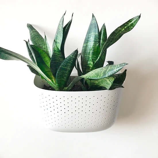 Eco White Wall Planter – Minimalist Style, Maximum Greenery